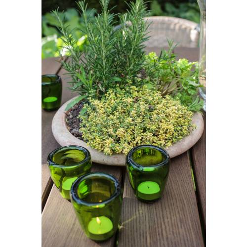Cultive as ervas aromáticas num vaso