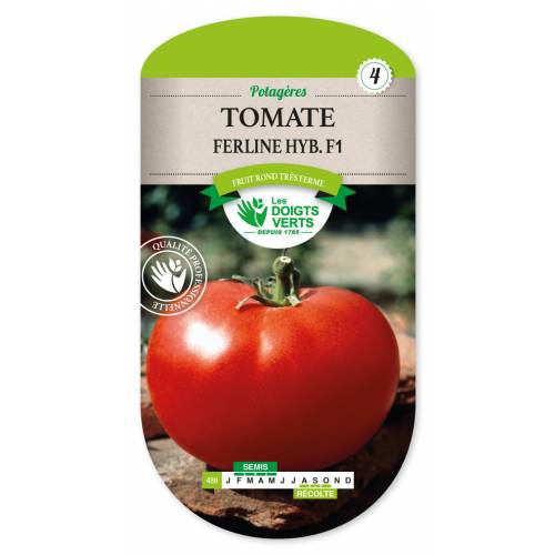 Tomate 'Fandango hybride F1'