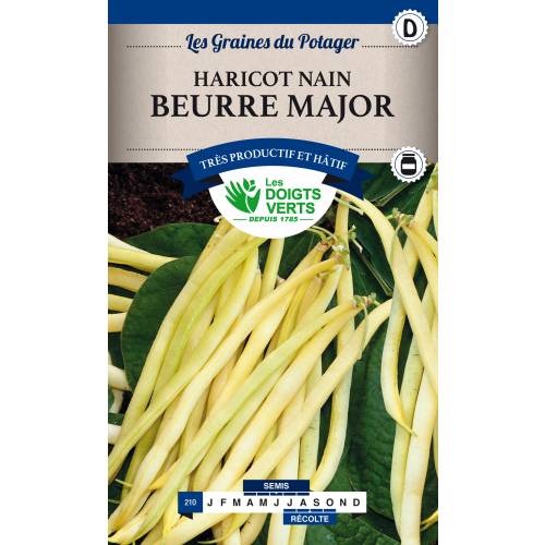 Feijo-verde ano mangetout 'Beurre Major'