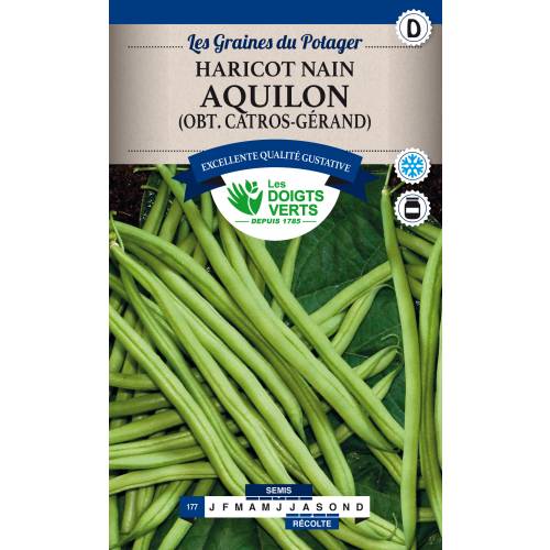 Feijo-verde fino mangetout Aquilon