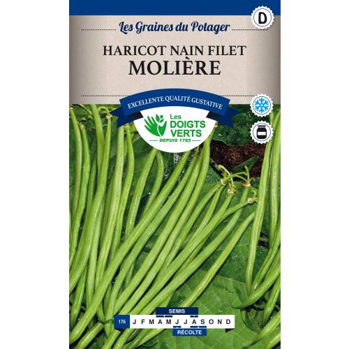 Feijo-verde fino Molire