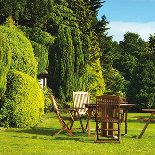 Relva R�stica - 20kg - 1000m2