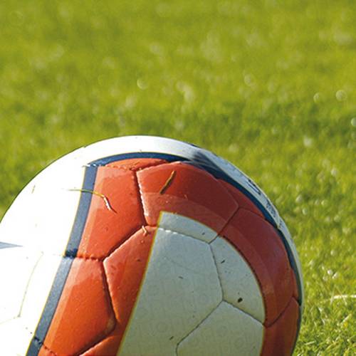 Relva para Desporto - 5kg - 175m2