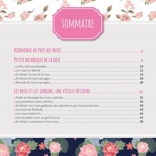 Histoires de roses_p