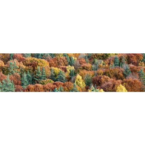 Poster de jardim La Chabanne