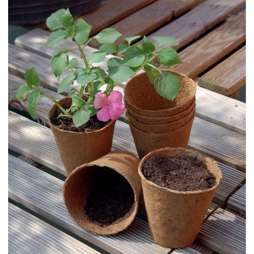 Vasos biodegrad�veis redondos 6cm