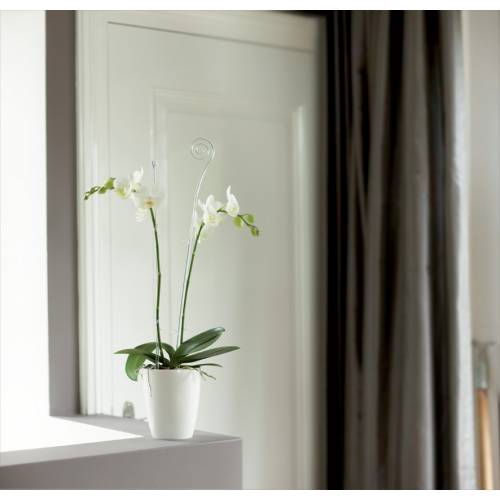 Brussels Orchid High D.12 cm - Branco - Elho