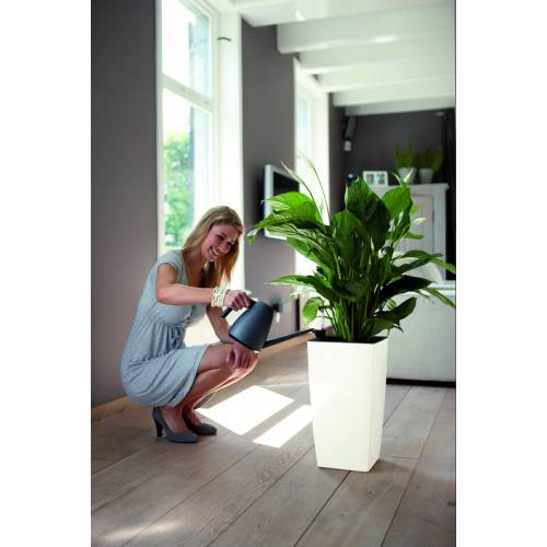 Milano All-in-One - A55cm - Antracite Mate - Elho