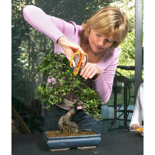 Tesoura para Bonsai - S36 - Fiskars