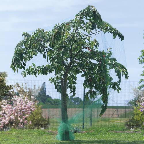Rede anti-aves para rvores de fruto - 5x10 m