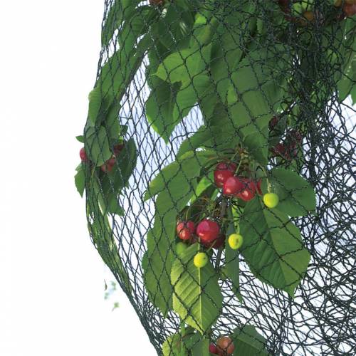 Rede reforada para rvores de fruto - 5x6 m