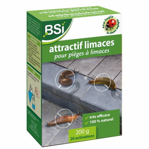 Lesmas - Atrativo - BSI