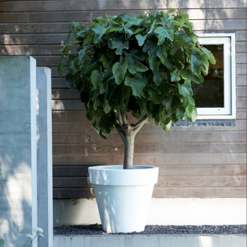 Pure Round  D80 cm A71 cm  Antracite  Elho