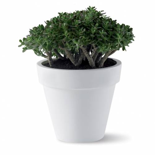 Pure Round  Di.100 cm A89 cm  Antracite  Elho