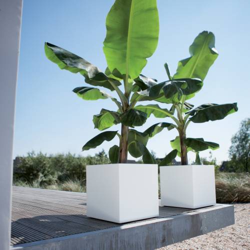 Pure Square  40x40 A39  Branco - Elho