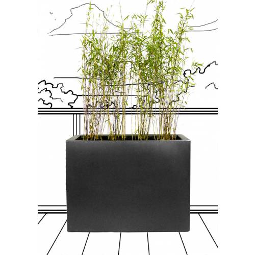 Pure Square Divider  29x79 A59  Antracite  Elho