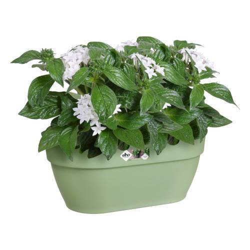 Vaso Parede Vibia Campana-35cm-Verde Pistache-Elho