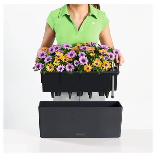 Balconera Color 50 - Vermelho Coral - LECHUZA