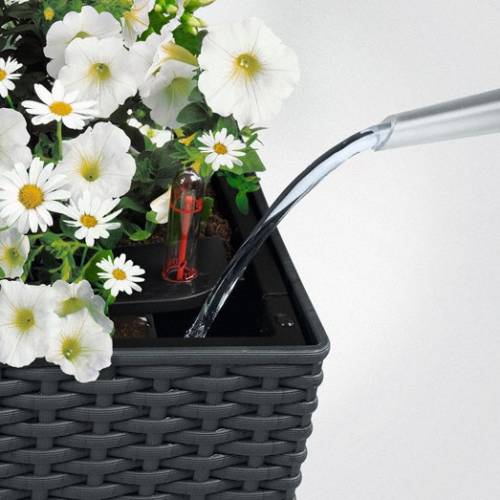 Balconera Cottage 50 - Preto Grafite - LECHUZA