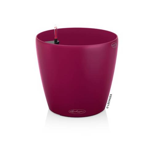CLASSICO Color 35 - Vermelho - LECHUZA