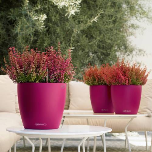 CLASSICO Color 43 - Vermelho - LECHUZA