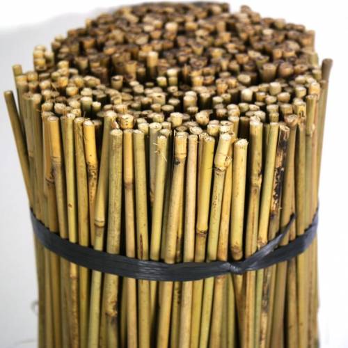 Tutor de bambu - 090 cm