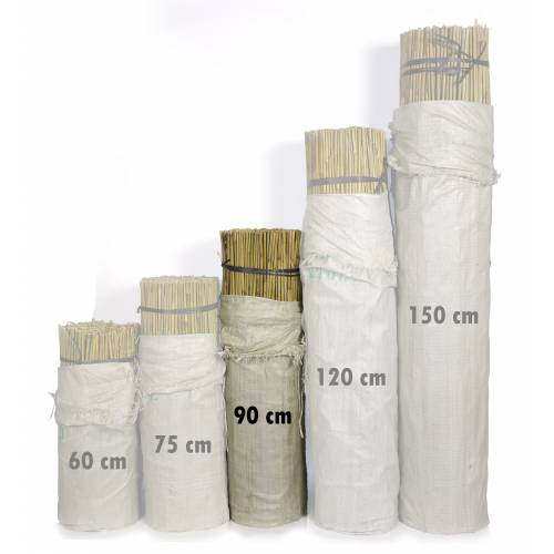 Tutor de bambu - 090 cm
