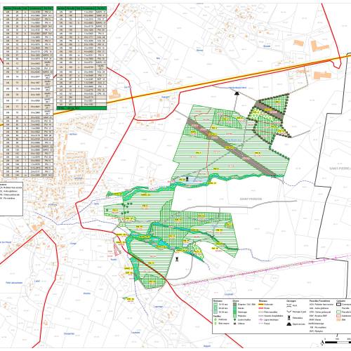 Cartografia florestal