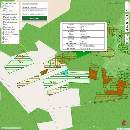 Cartografia florestal