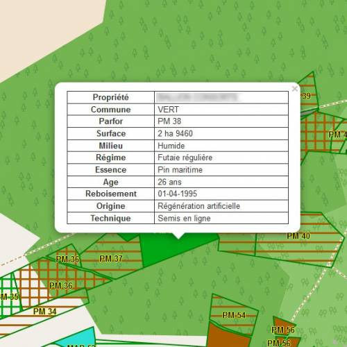 Cartografia florestal
