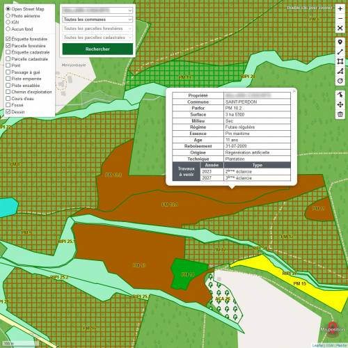 Cartografia florestal