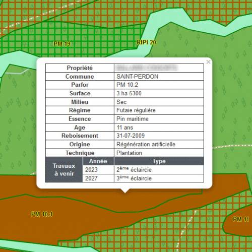 Cartografia florestal