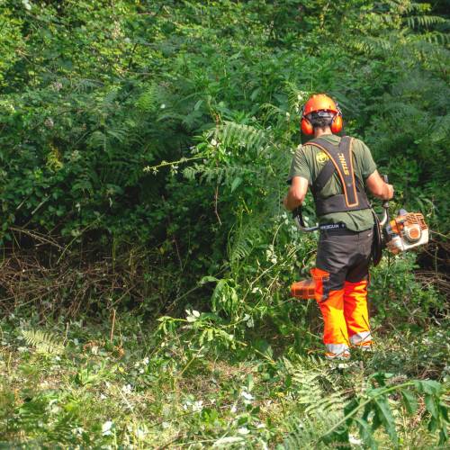 Desmatamento, Limpeza florestal