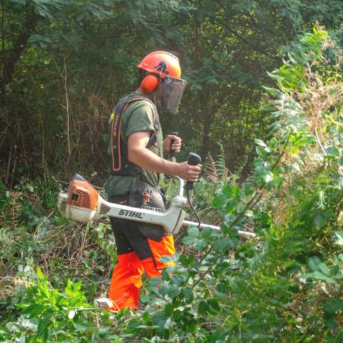 Desmatamento, Limpeza florestal