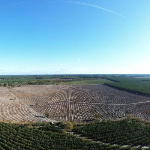 Oramento de propriedade florestal