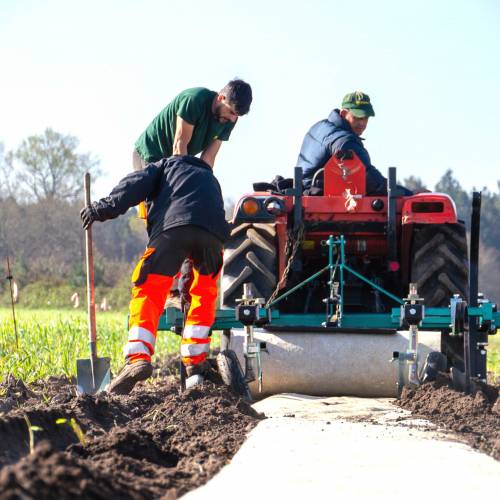 Plantao florestal